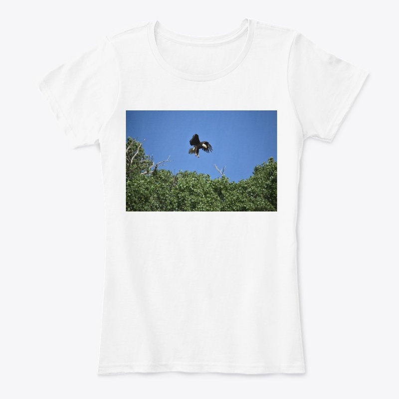 Eagle in Tree