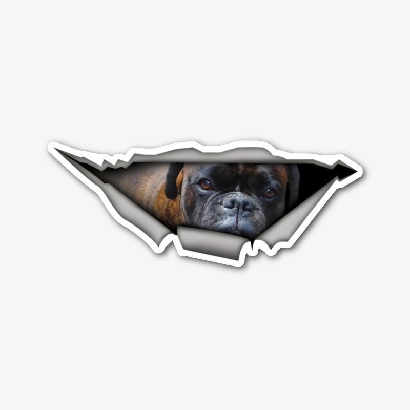 Boxer Sticker