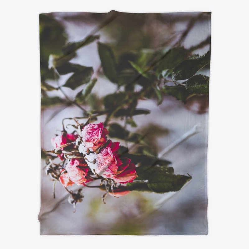 Frozen red roses