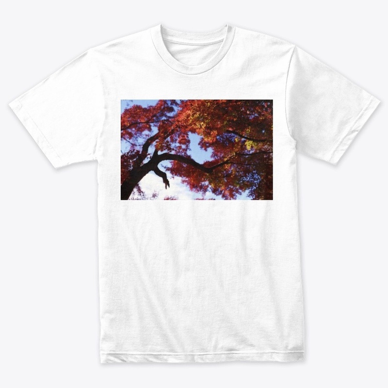 Japanese Maple at Autumn