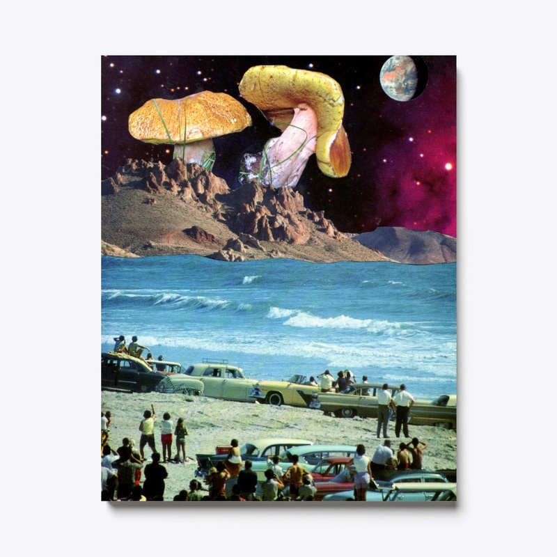 Mushroom Planet - Graphic Tee Collage 
