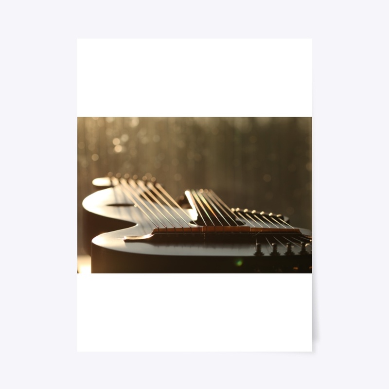18 String Harp Guitar