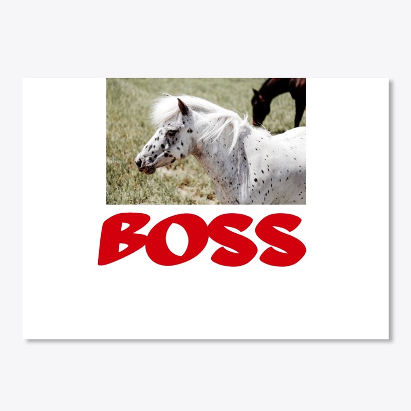 HORSE BOSS