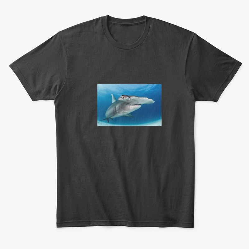 GREAT HAMMERHEAD SHARK MERCHANDISE!