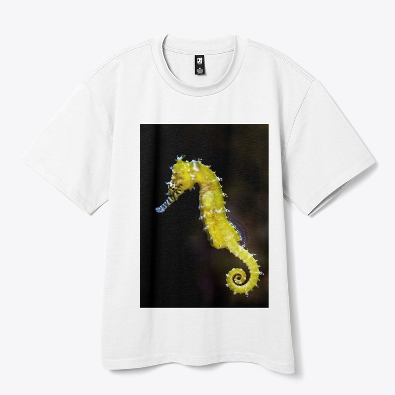 t shirt woman