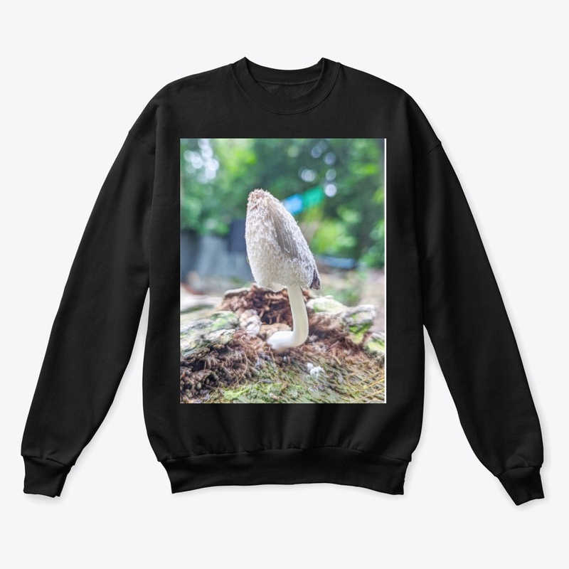 Comfort Colors  Tee price