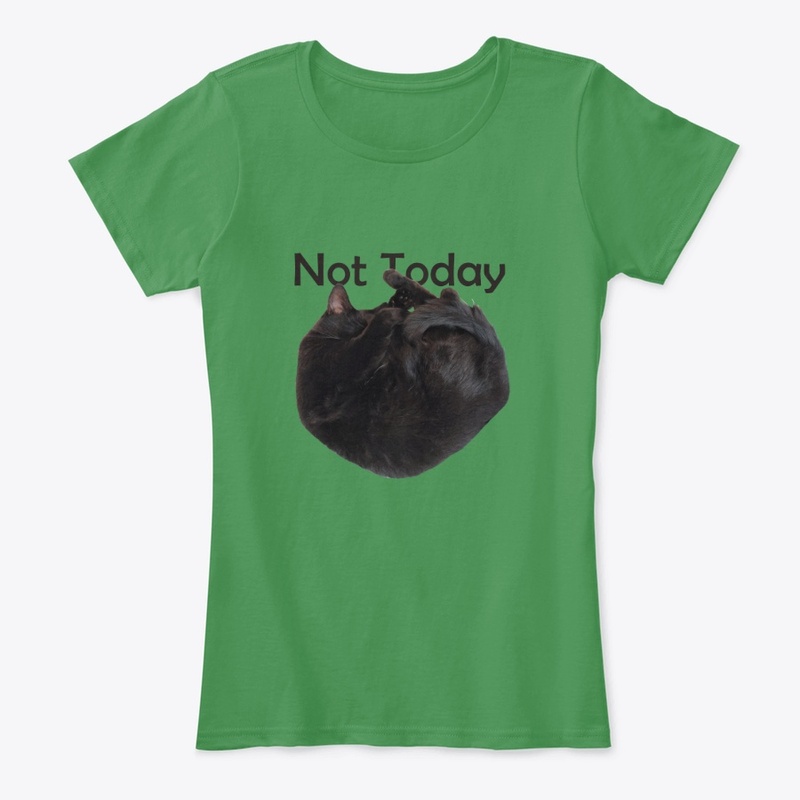 Not Today Sleepy Kitty