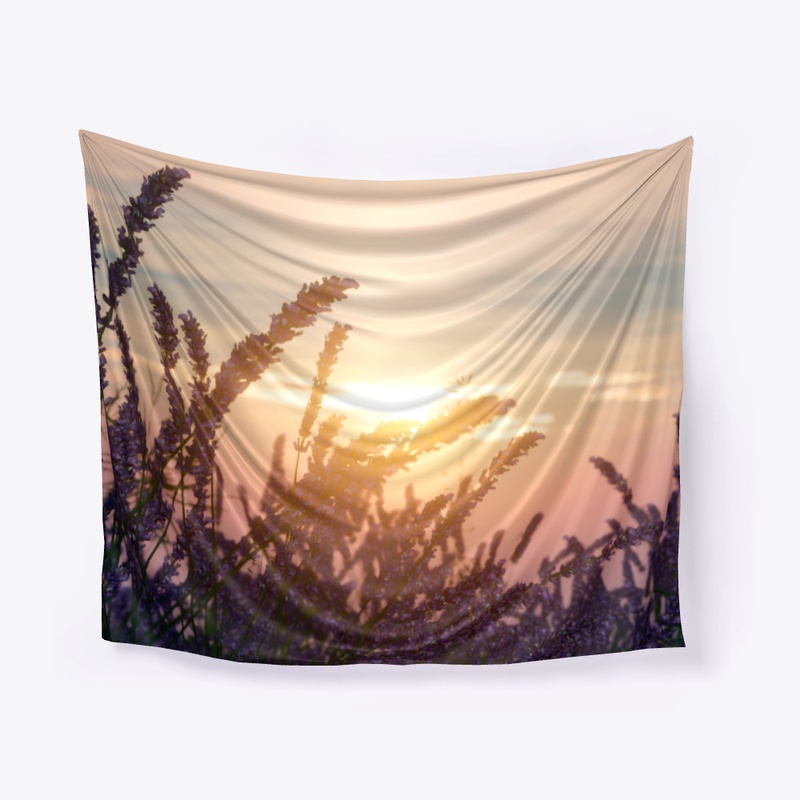 field of lavender flowers and the sun