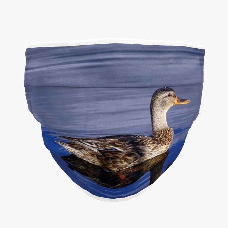 There was only a duck on the lake...