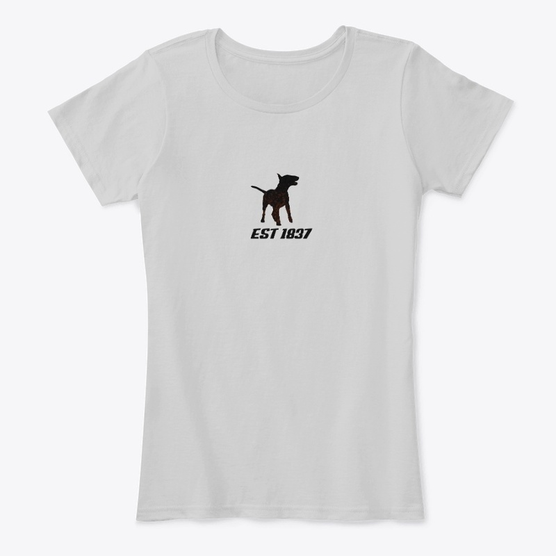 Bull Terrier Origin