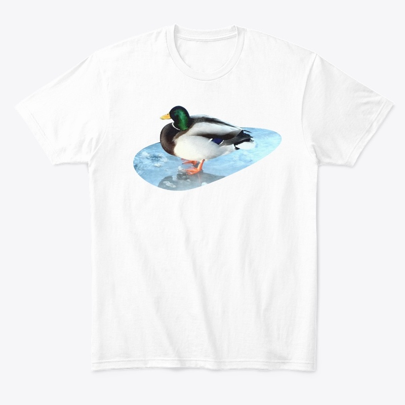 Ducks sit on the ice and swim 
