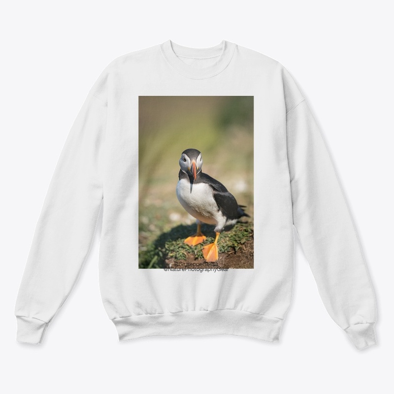 Puffin