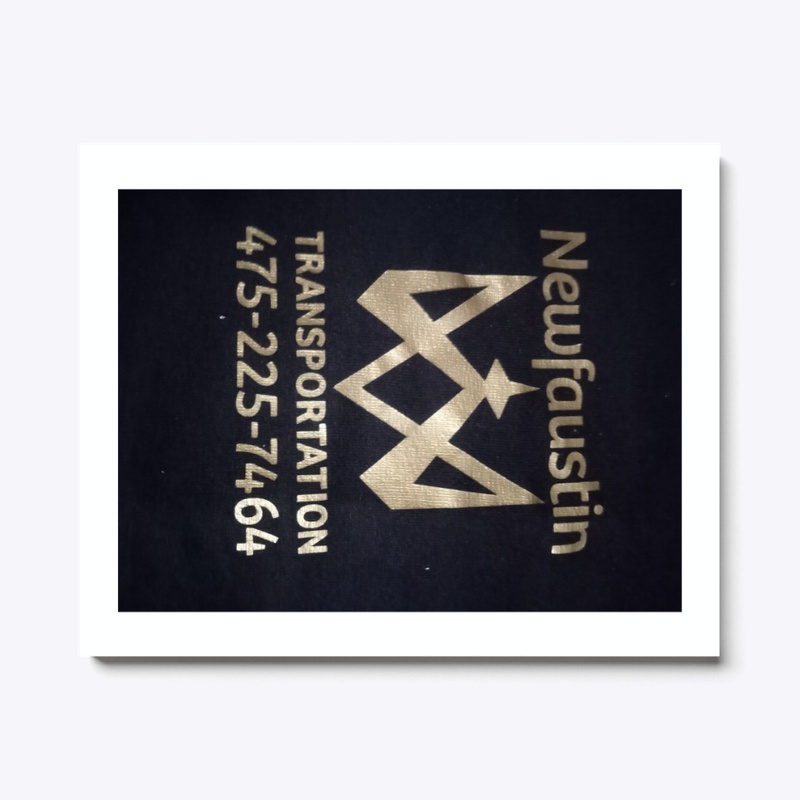 Newfaustin Transportation 