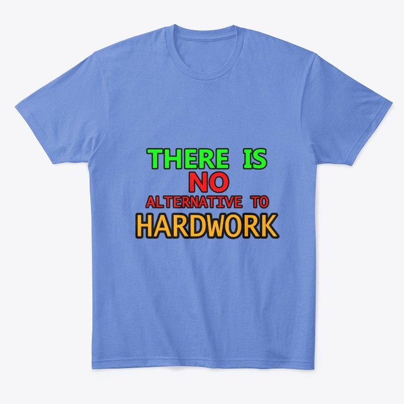 There is no alternative to hard work.