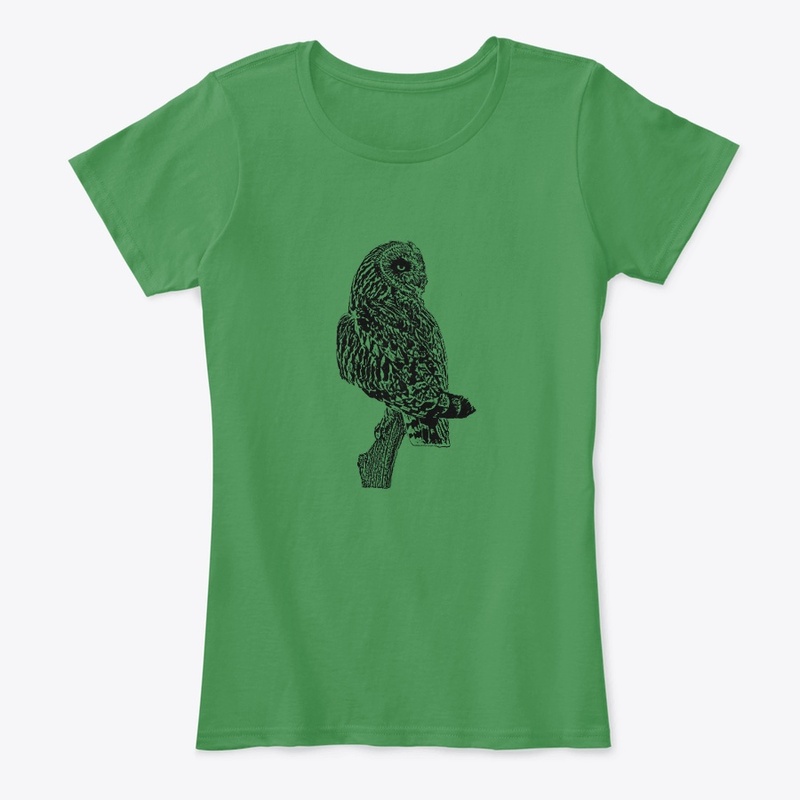 Short-eared Owl Birdwatching