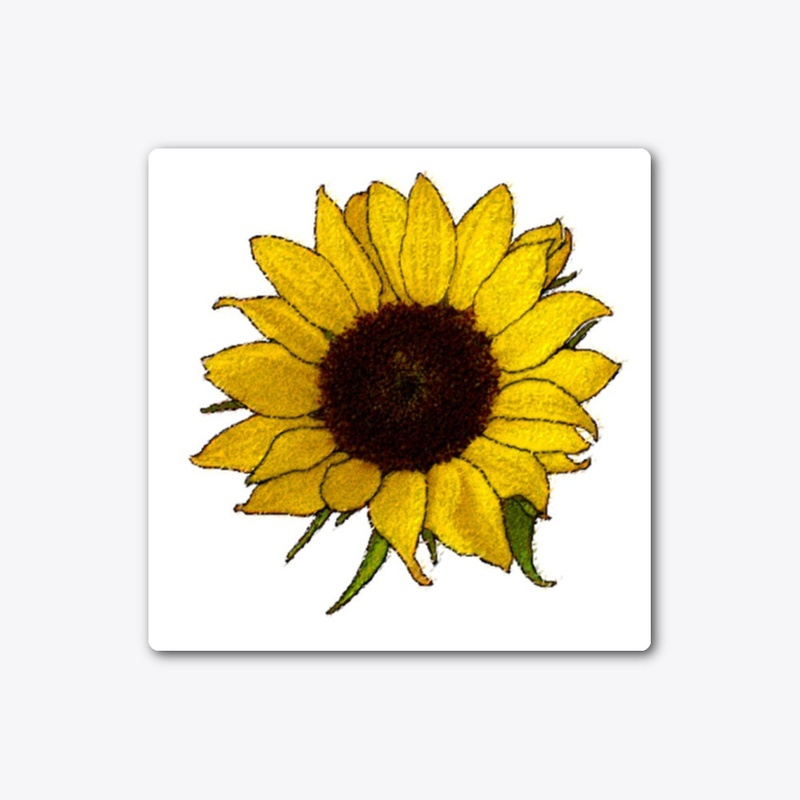 A sunflower patch