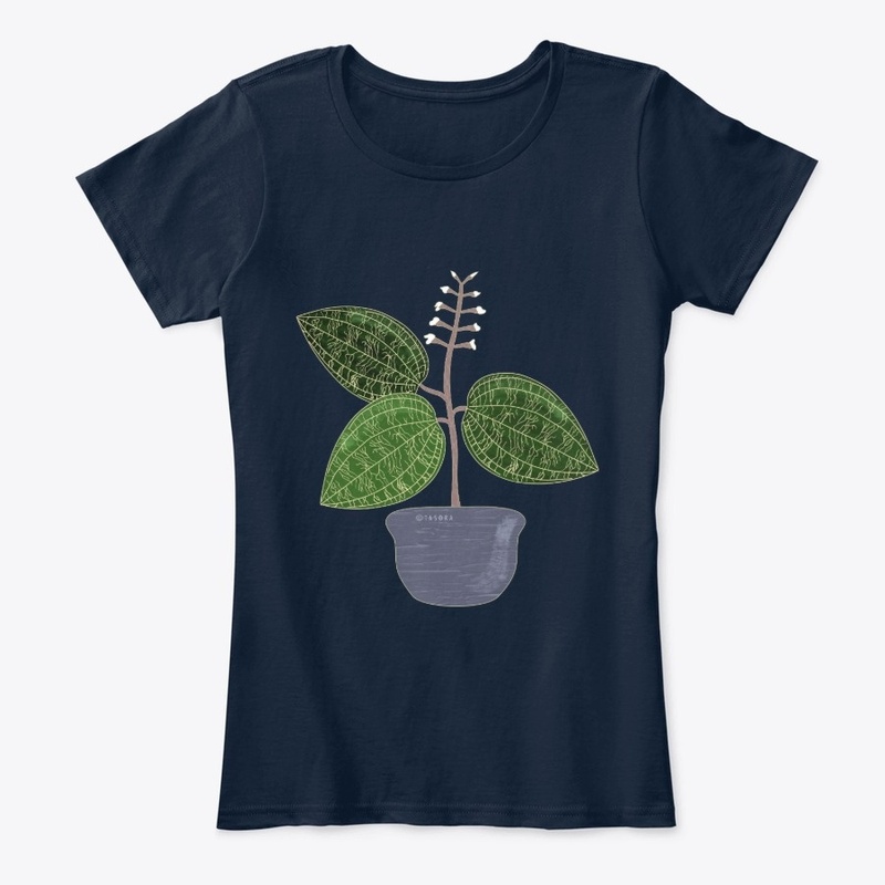Jewel Orchid Macodes Petola Art
