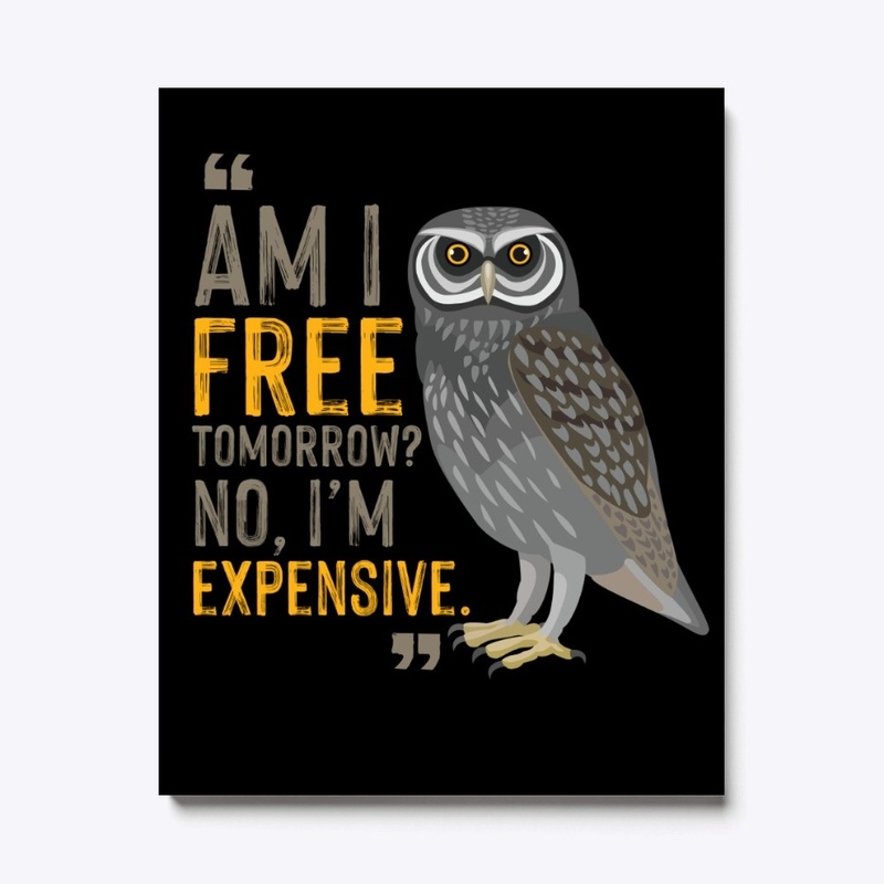 Wise Owl 7