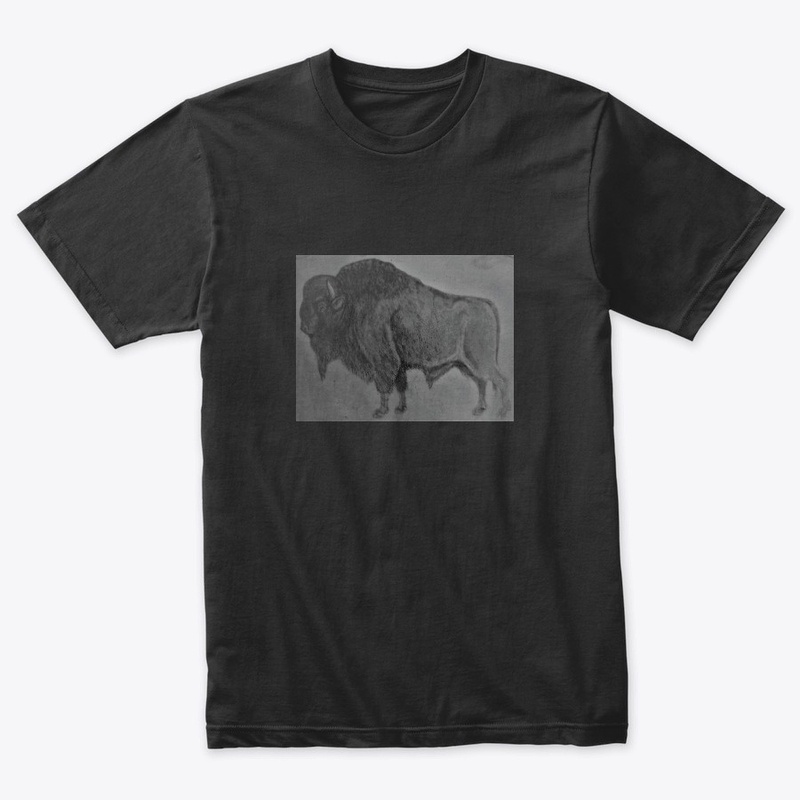 sweatshirt/tshirts