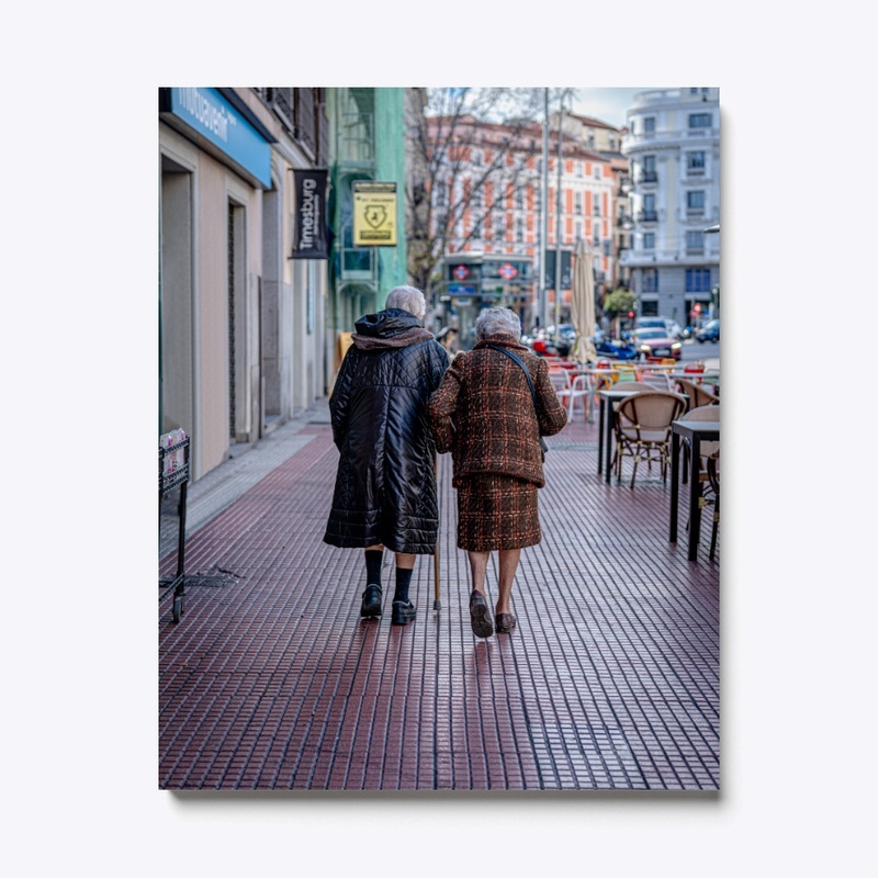 Companionship 