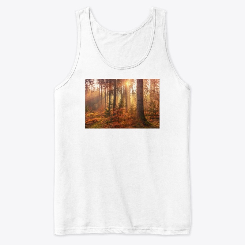 Value12 Sunshine in the forest