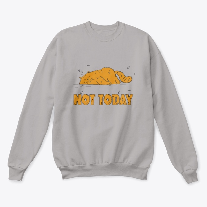 NO TODAY FUNNY CAT