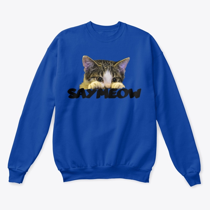 shy kitty