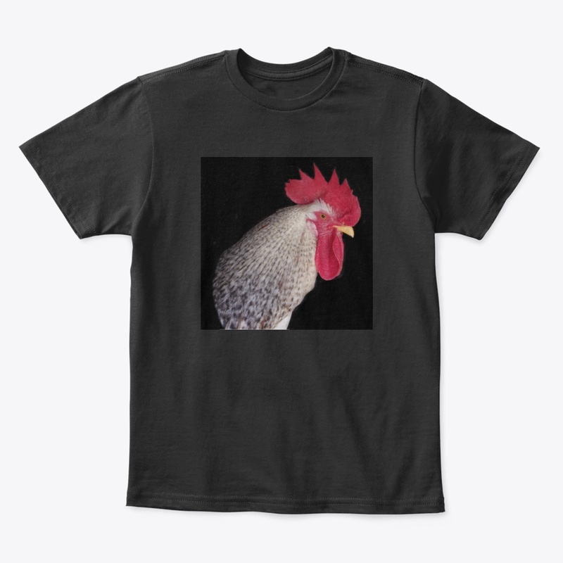 rooster2
