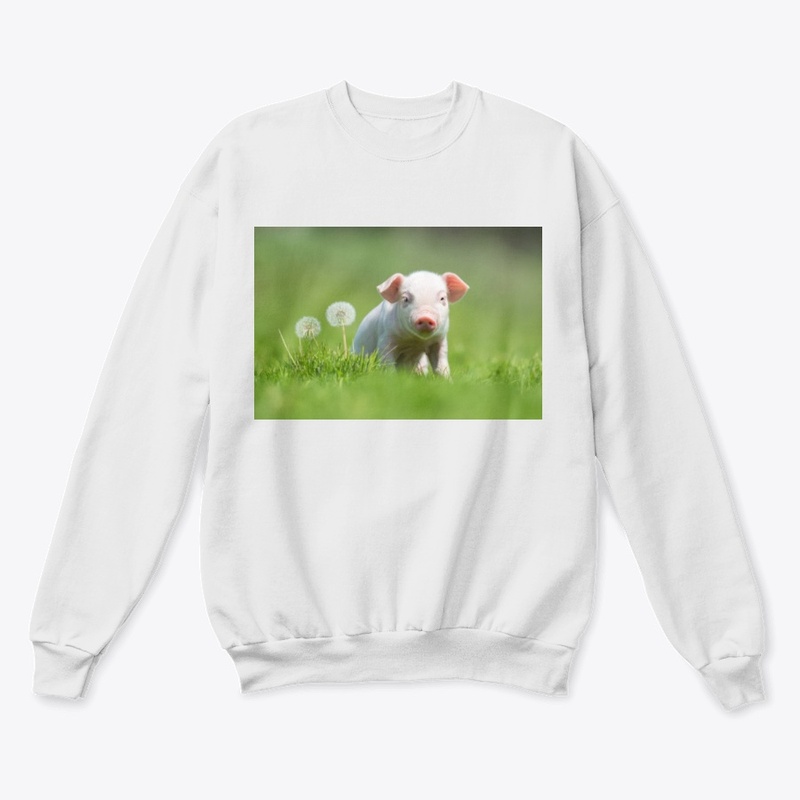 Pig design