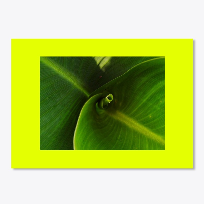 green leaf spiral