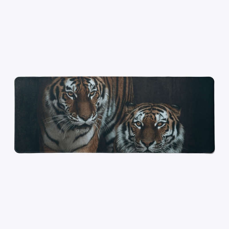 Big Cats