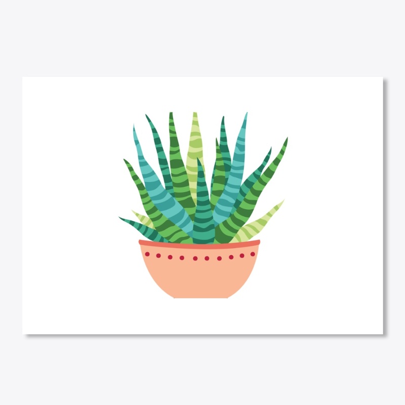 Love succulent 