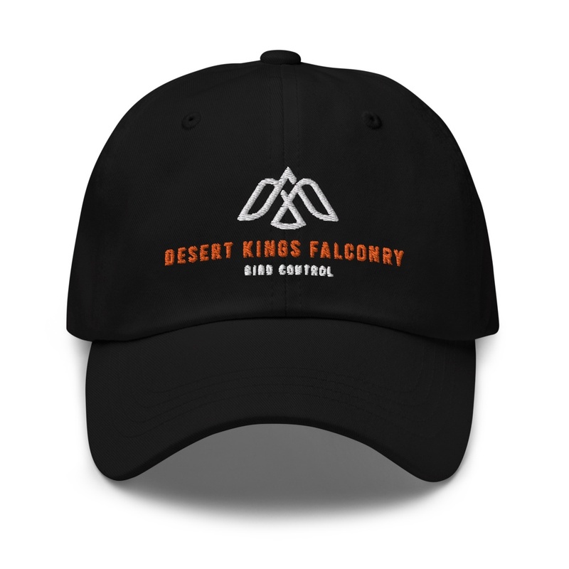 DKF SNAPBACK