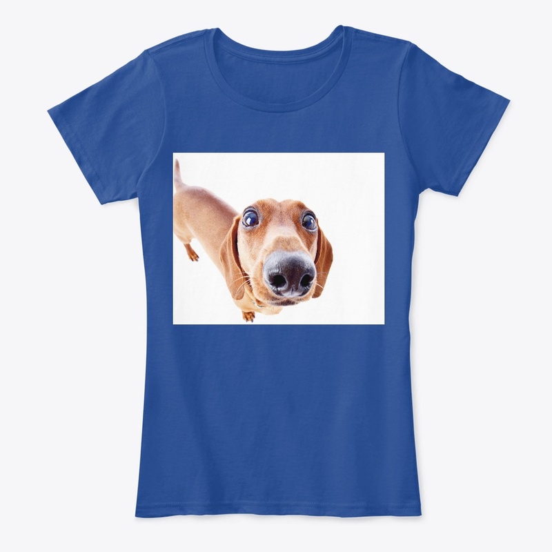 Dashshund Lover