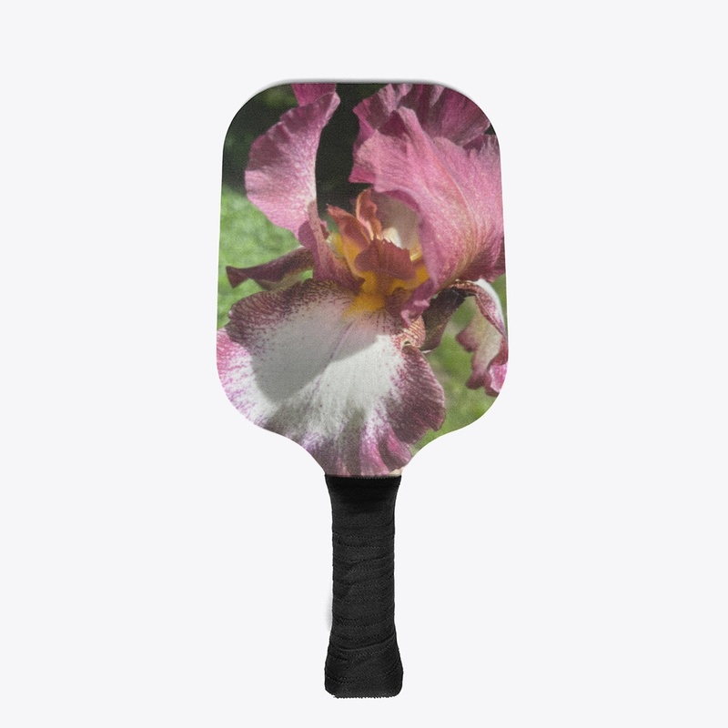 Burgundy Iris