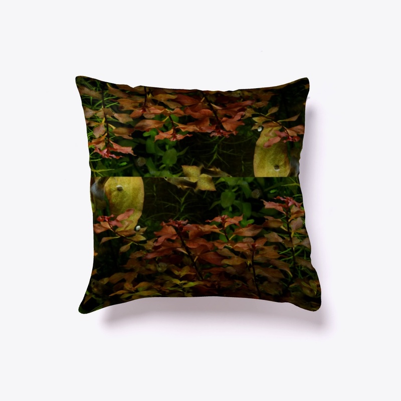 Plant Pillow!