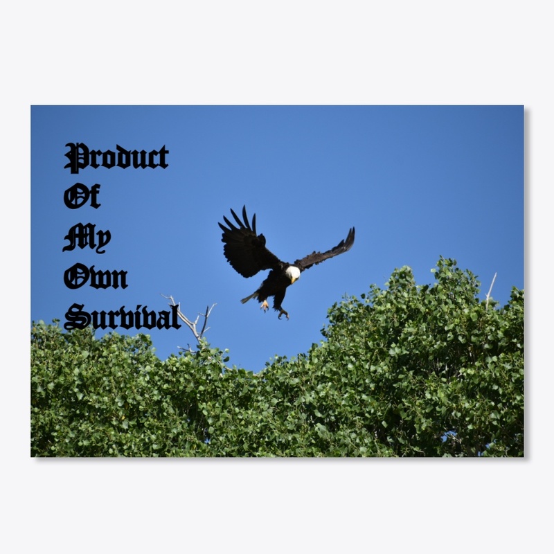 Eagle Landing