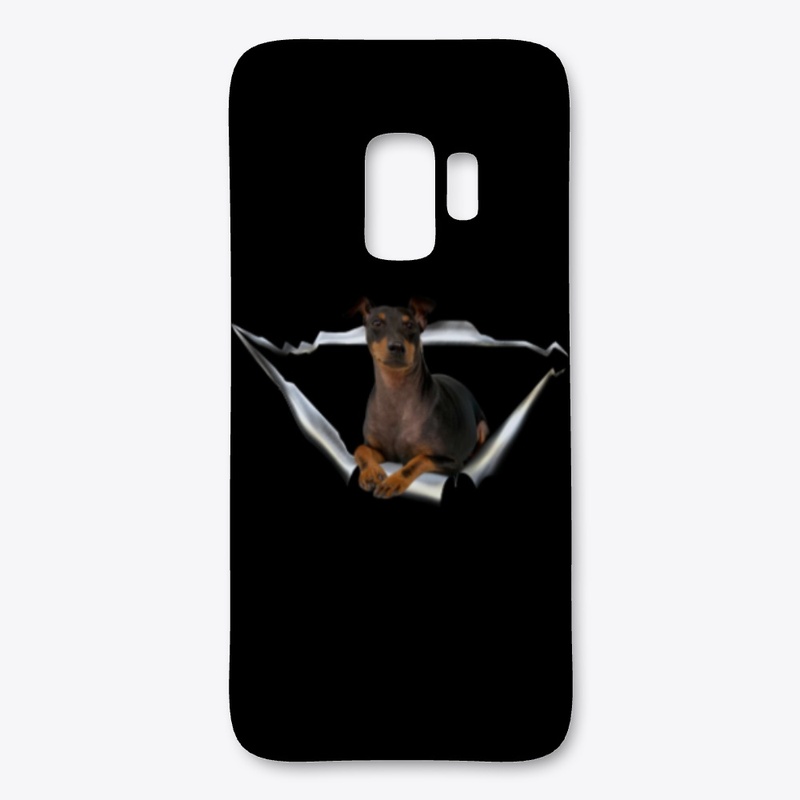 English Toy Terrier
