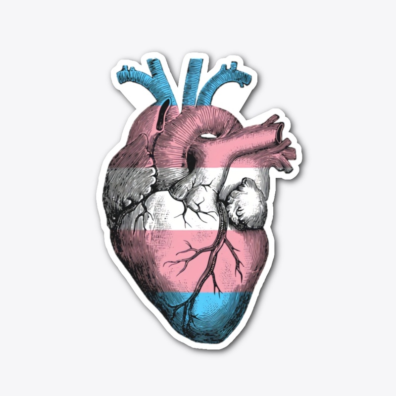 Transgender Pride Anatomical Heart