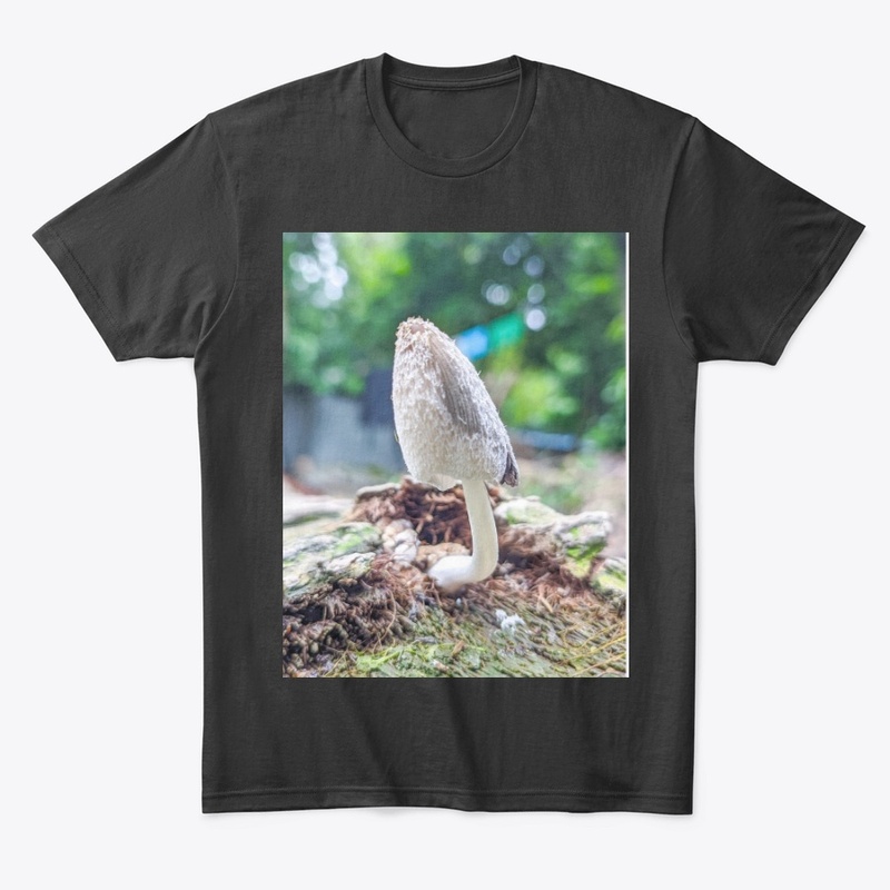 Comfort Colors  Tee price