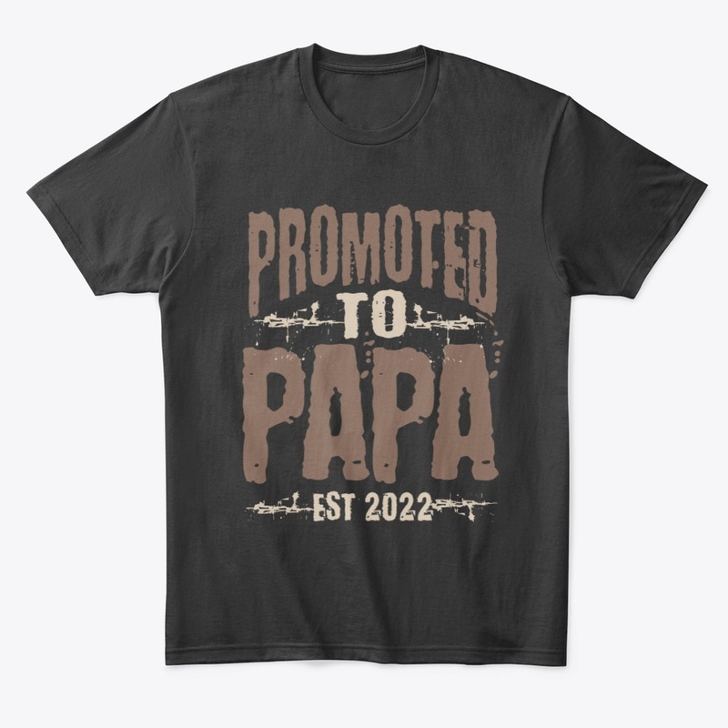 Promoted To Papa Est. 2022 - Fathers Day