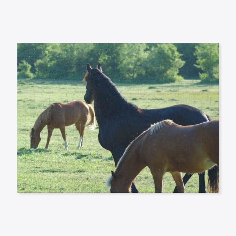The Valley of the Horses