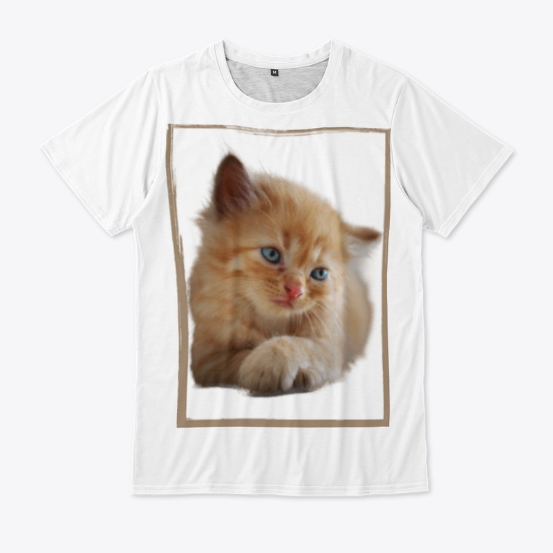  Cutee Cat