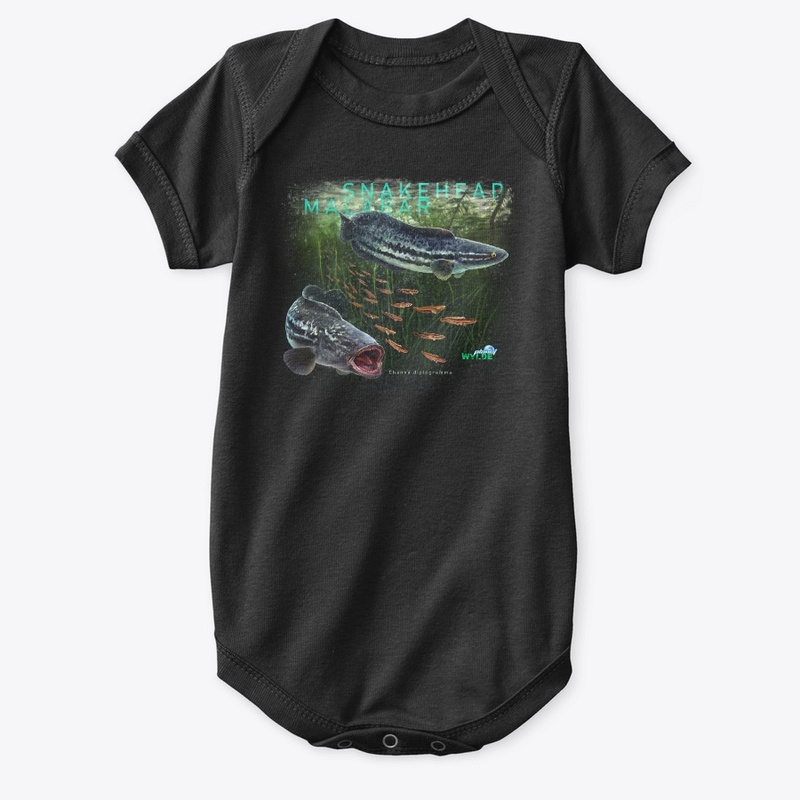Malabar Snakehead