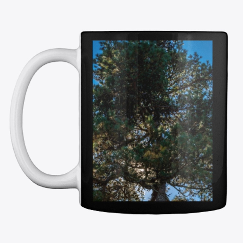 pine tree