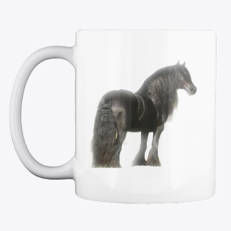 Black Horse Beauty