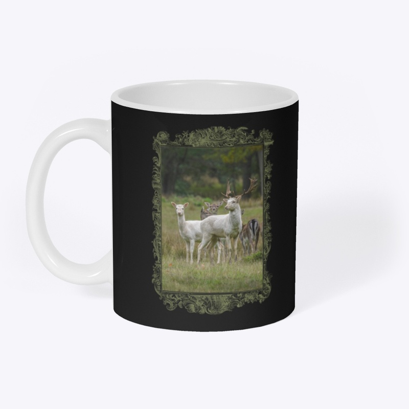 Pure Wildlife Lovers: White Fallow Deer