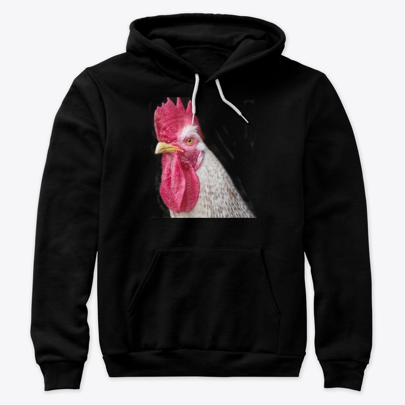 rooster chicken farm animal