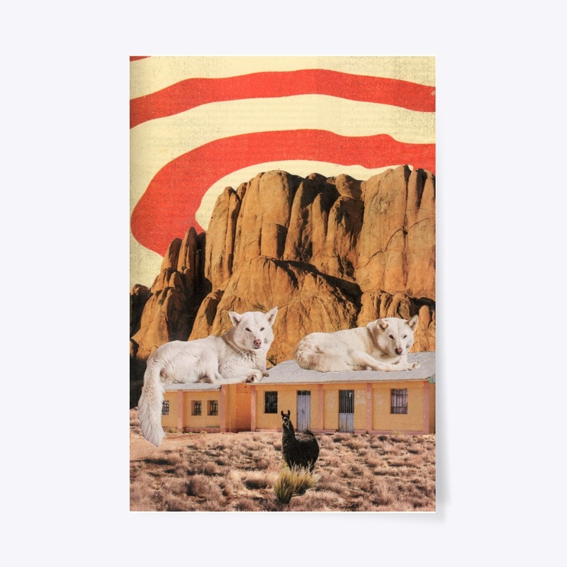 White Dogs  in the Arizona Desert