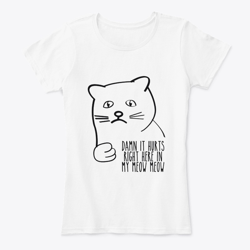 Sad cat meow meow
